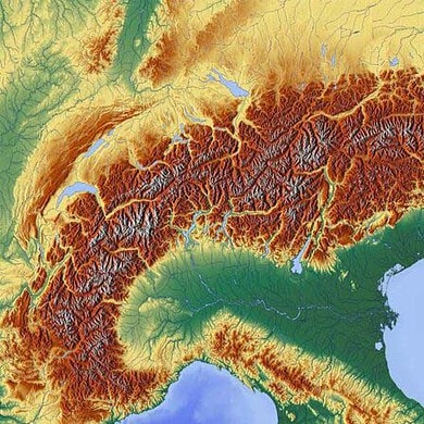 alpenlängsung