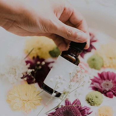 phytotherapie