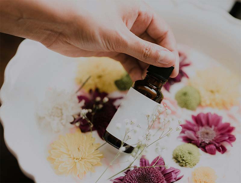 phytotherapie