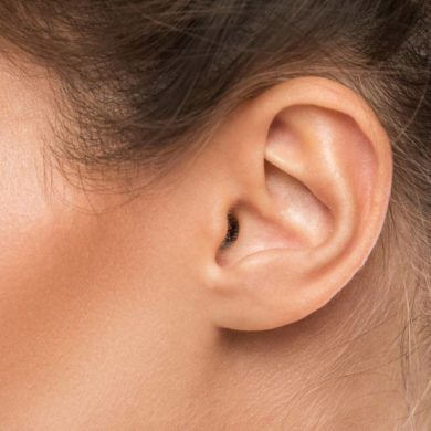 Das Ohr - ein empfindliches Organ