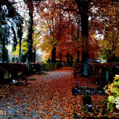 Friedhof