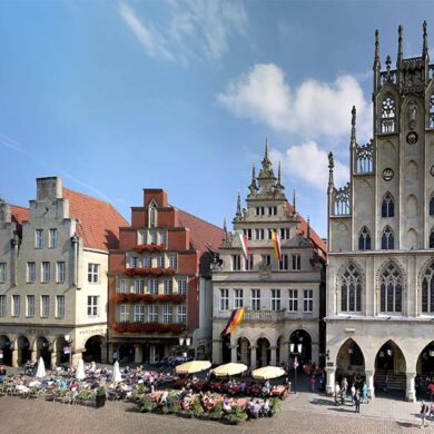 muenster